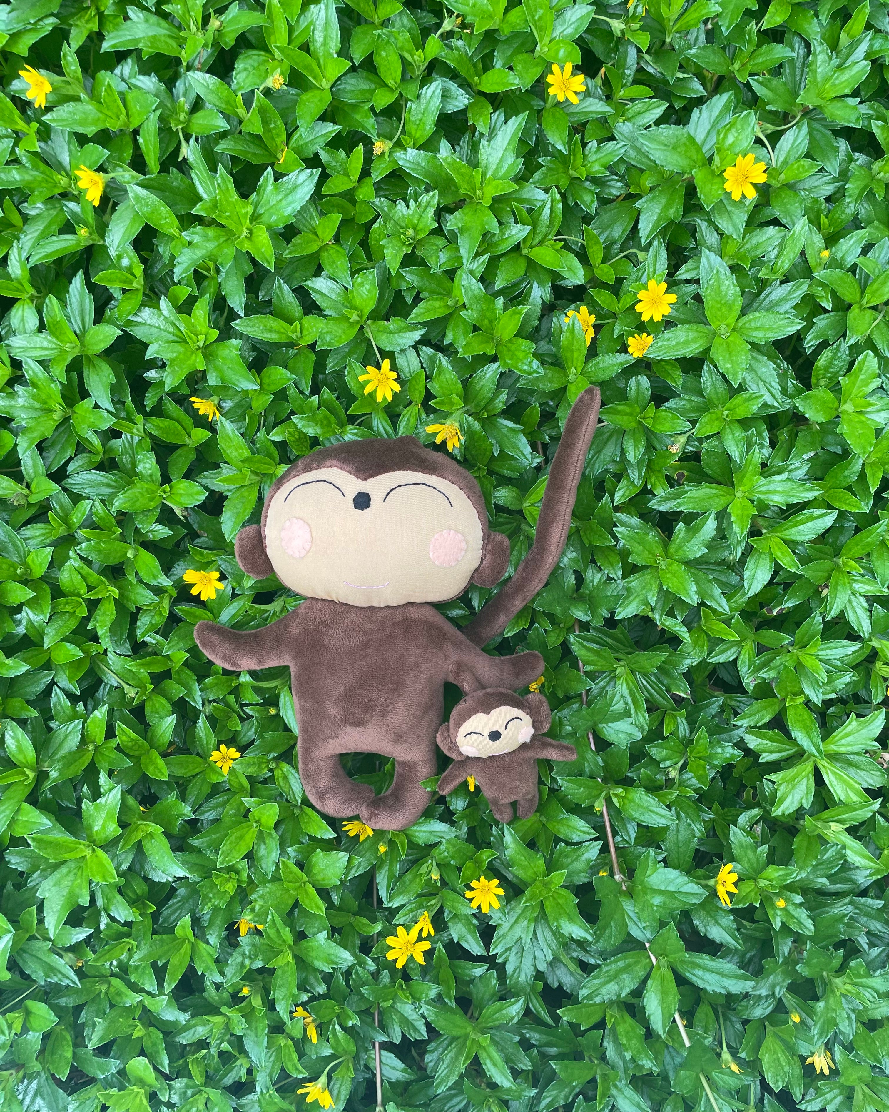 Bali Life Mummy Monkey