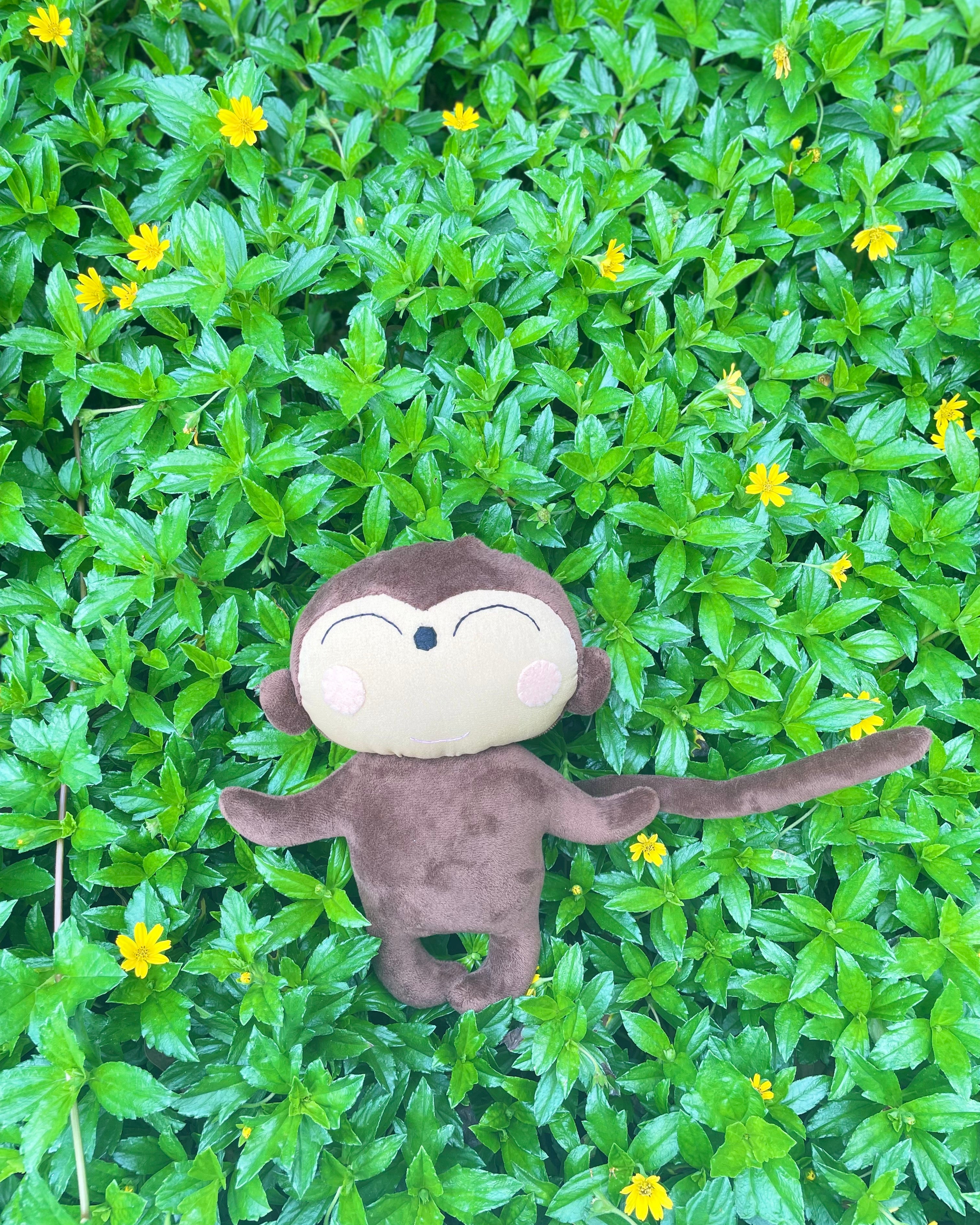 Bali Life Mummy Monkey