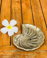 Brass Shell Plate