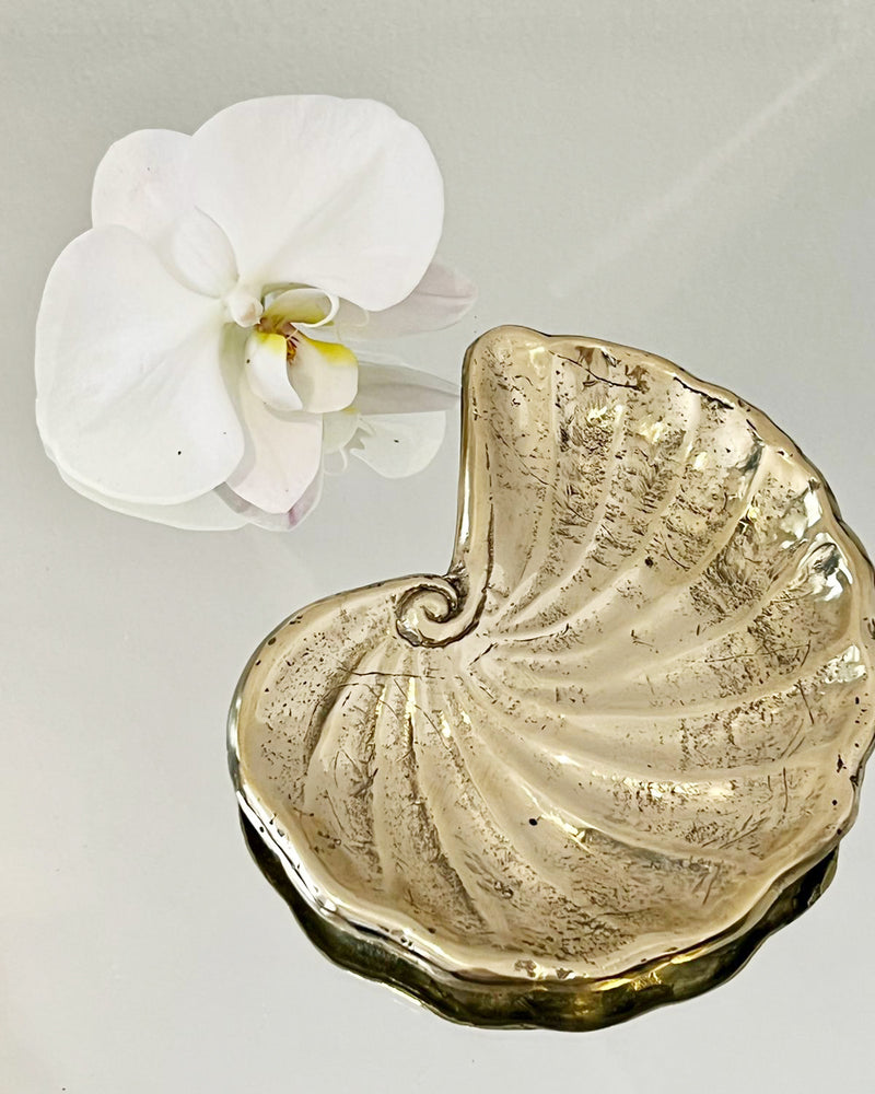 Brass Shell Plate